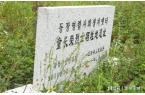 1人打败孙权一人打服关羽！宁死也不跟随刘
